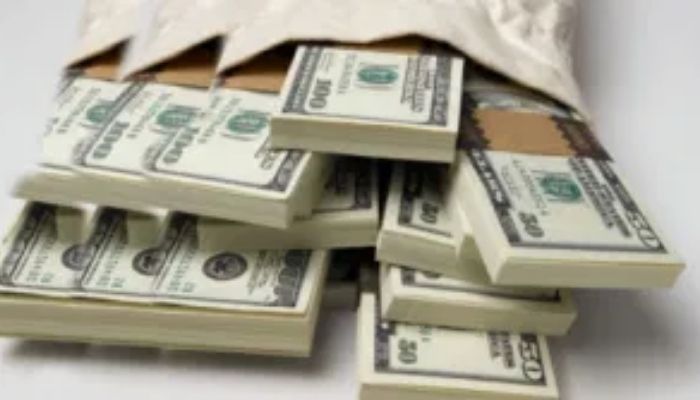 How Nigerians can invest N1,000 in foreign investments, earn in dollars