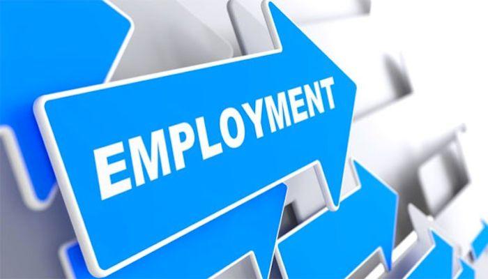 Nigeria’s employment paradox: Why banks lead and what follows