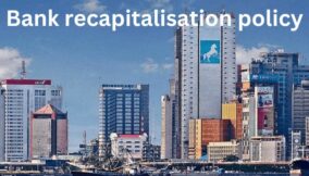 Banks recapitalisation: Larger banks absorb a substantial portion of the available capital