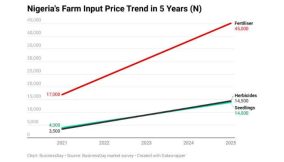 Farm input crisis hurts Nigeria’s food ambitions