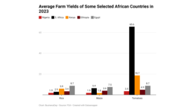 Low crop yields expose Nigeria to hunger risk