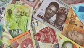 Africa must build monetary sovereignty, borrow in own currency – Sachs