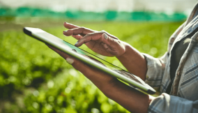 How technology feeds Nigeria’s future