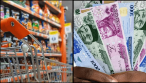 FMCGs trim losses but naira plunge still weighs