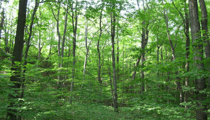 Land banking: Five errors to avoid when making land investment