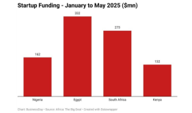 Foreign startup investors on sidelines after naira plunge