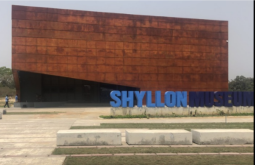 Yemisi Shyllon Museum of Art