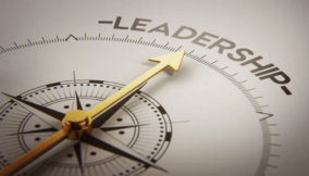 Before the library burns: Preserving leadership wisdom through succession planning