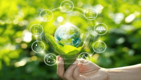 Nigeria’s green capital moment: Turning sustainability into strategy, survival and competitive advantage