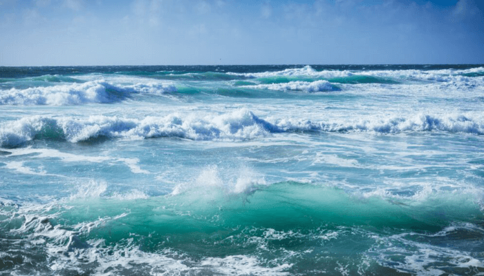 Nigeria rallies global support for ocean protection, IMO council bid