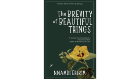 Plot Twists, Scandals, and Soul-Searching – A review of Nnamdi Ehirim’s The Brevity of Beautiful Things