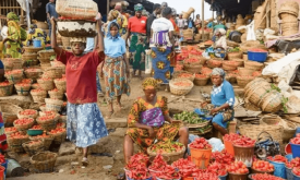 Food crisis: From problem to practical solutions